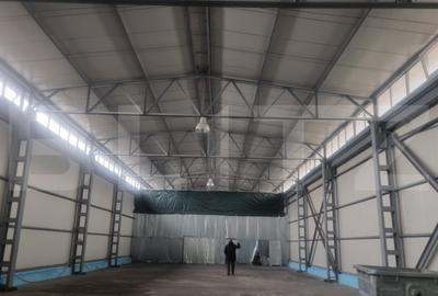 Spațiu industrial, de 700.00 mp, în Mihai Bravu