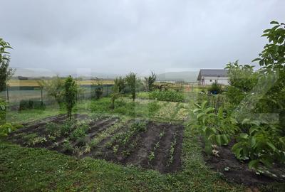 Teren Construcții intravilan de 800 mp, în Est