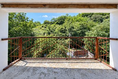 VAND O VILA IN PADUREA DIN FILIPESTI - 18