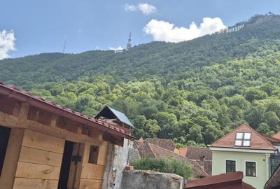 Casa unica Str Cerbului, Centru, singur in curte - 9