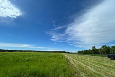 Teren pentru casă lângă pădure | 500 mp | Clinceni | Investiție excelentă - 3
