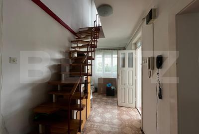 Casa individuala zona excelenta, Dambu Rotund, 307 mp curte - 5