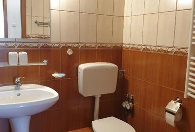Inchiriere apartament 2 camere Turda - Parc Regina Maria - 8