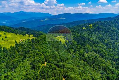 Refugiu în natură la Săcele | Teren 7.000 mp cu râu | Comision 0% - 14