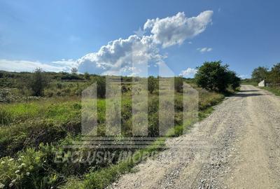 Teren Construcții intravilan de 4662 mp, în Cetate