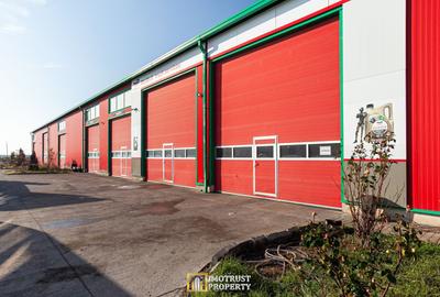 Hală industrială de închiriat în Horia, Arad – 367 mp, acces TIR - 5