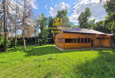 Spatiu comercial Parcul Herastrau-Restaurant Cafeanea-Vanzare-Asociere - 7