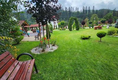 Penisune in Bucovina! Sucevita! De Vanzare! 0727817187 - 7