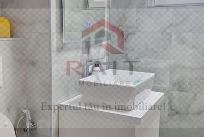 Apartament de inchiriat Curtea de Arges Progresu - 15