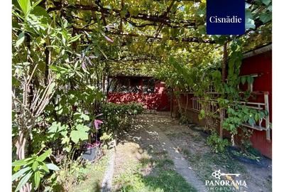 Casă cu grădină proprie, garaj, pivniță și teren în centrul Cisnădiei - 18