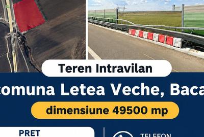 Teren agricol intravilan de 49500 mp, în Letea Veche