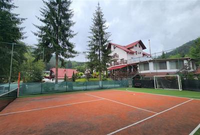 Penisune in Bucovina! Sucevita! De Vanzare! 0727817187 - 11