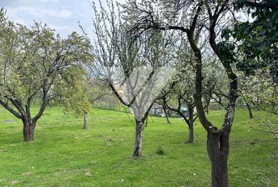 Teren de vanzare - Saliste - Intravilan  -  430 MP - 4