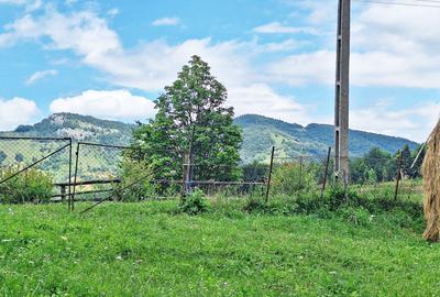 Teren de 1000mp in Bran, satul pitoresc Pestera - 3