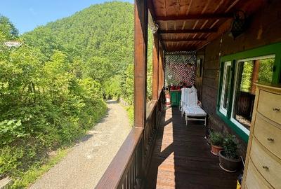 Casă în Pădure pe Valea Borcutului – 5 min de oraș | Direct Proprietar - 8