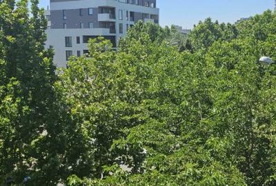Imobil Comercial de Vanzare - Bulevardul Doamna Ghica | Investitie cu potential - 3
