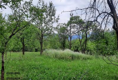 Teren intravilan, 5000 mp, Breaza, Prahova - 4
