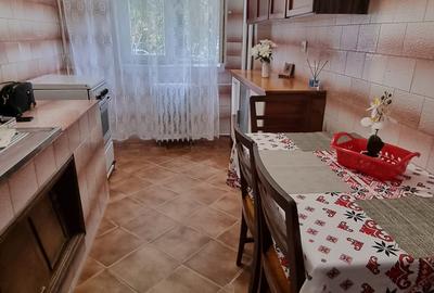 Dristor , Aleea Scolarilor ,2 minute metrou - 9