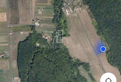 Teren extravilan 28.800 Mp , zona Rora, Sighisoara - 8