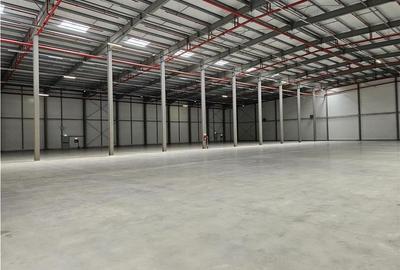 Spatiu Industrial - 2500 mp - Logistica - Productie - Depozitare - Distributie - 1