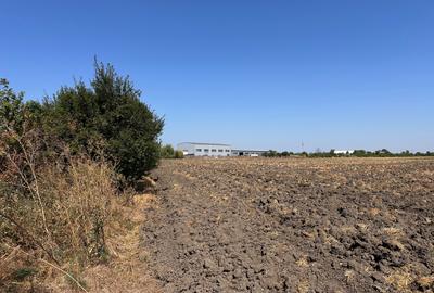 NOVARIS REAL ESTATE – TEREN INTRAVILAN DE VÂNZARE 5600 MP - 2