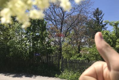 Vanzare Teren INTRAVILAN Padure 2,511mp BREBU MANASTIREI  PRAHOVA - 6