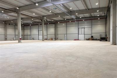 HALA INDUSTRIALA 3.500 MP FLORESTI | 400 MP BIROURI | 6 RAMPE | 400 KVA - 4