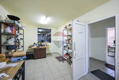 Hală în parc industrial Borș 1, teren 2.903 mp, de vânzare - 32