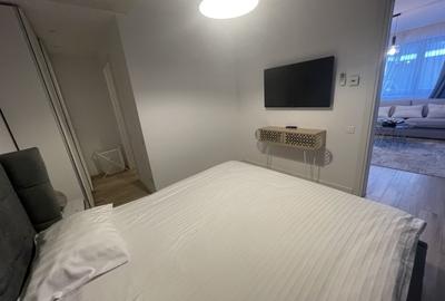 Apartament 3 camere de inchiriat Victoriei Titulescu - 12