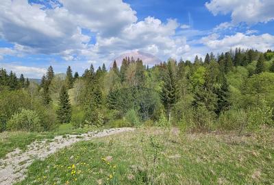Teren 4048mp Campulung Moldovenesc, Strada Izvorul Alb, Suceava - 18