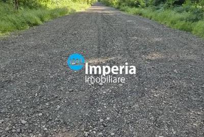 Teren si Duplex pe 850 mp, in Padurea Ciurbesti Miroslava, Iasi - 5