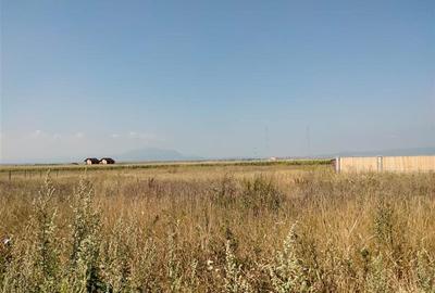Teren intravilan la intrare in Bod dinspre Sanpetru - 5