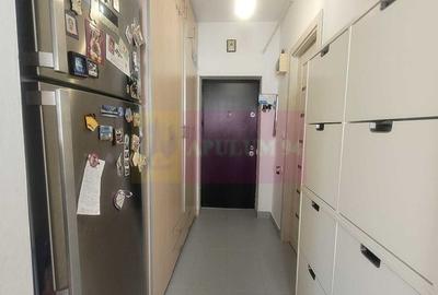 Studio Brancusi Drumul Taberei - 5