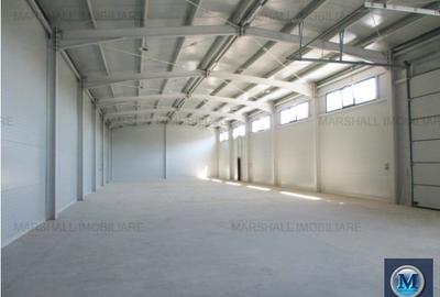 Spatiu industrial de vanzare, zona Sud, 553.1 mp #16751 - 2