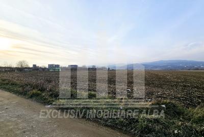 Teren intravilan | De vanzare | 780 mp | 30 ml deschidere | Partos - 4