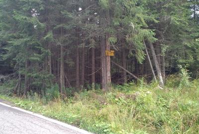 Vând teren 3000 mp intravilan Lac Vidra, Voineasa, Valcea 3 km de partia de ski - 4