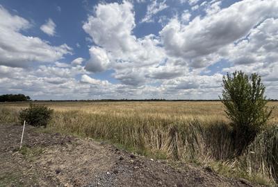 Teren Construcții intravilan de 976 mp, în Torontalului