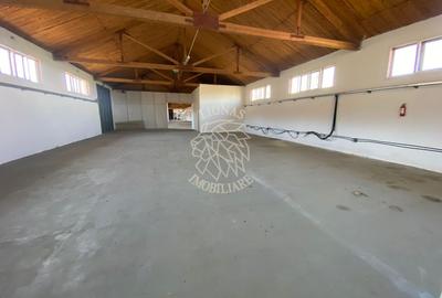 Spatiu Industrial/ Hala/ Depozit- 1200 mp- Peste Podul Budacului - 12