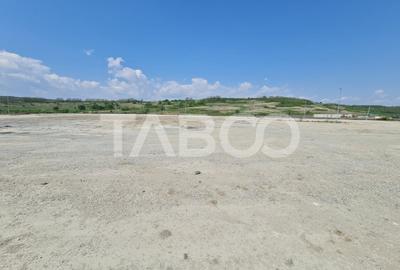 Teren industrial intravilan de vanzare la 3 km de autostrada - 5