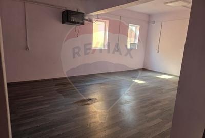 Spațiu industrial 15435 mp. de vânzare in Tinca. - 4