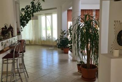 Casa individuala, 325 mp, teren 6475 mp, Vetis, Satu Mare! - 9