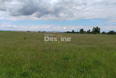 Teren extravilan, 114000 mp, Parc industrial West Park - 9