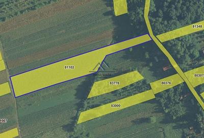 Teren intravilan 8147 mp - Băiculești, jud. Argeș - 1