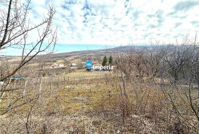 Teren intravilan 4800 mp, investitie,  utilitati complete, Dancas Miroslava - 3