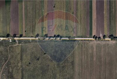 De Vanzare Teren Industrial/Comercial Giurgiu | Soseaua Bucuresti, DN5 - 3