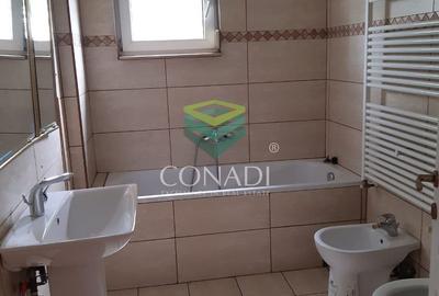 Zona DNCB Clinceni De inchiriat Hala C1 - 11