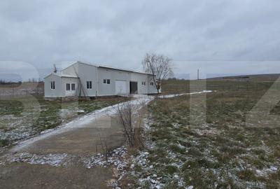 Hala industriala/comerciala, 190 mp, teren 2460 mp, Vulpeni - 1