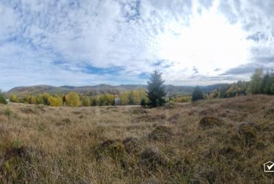 Teren Construcții intravilan de 1000 mp, în Muntele Băișorii