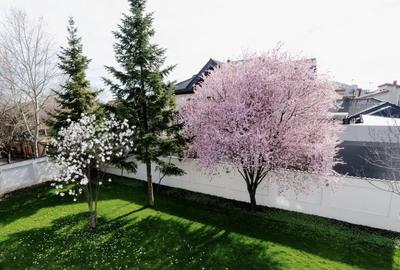 Vila  6 camere de inchiriat | Pipera-Aviatiei - 5