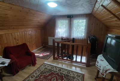 Pensiune turistică de vânzare în Lepșa – o oportunitate unică de afacere - 7